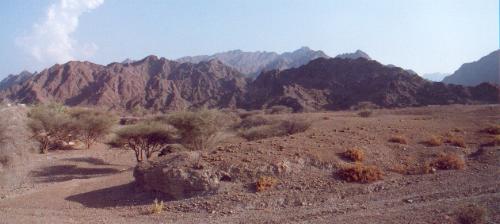 The once-green oasis of Jima.